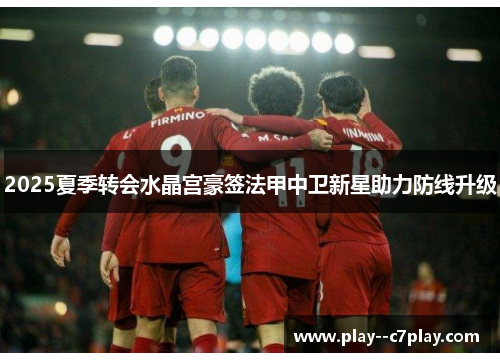 2025夏季转会水晶宫豪签法甲中卫新星助力防线升级